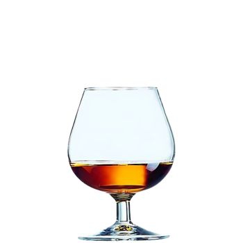 DEGUSTATION - VERRE A COGNAC 25 CL