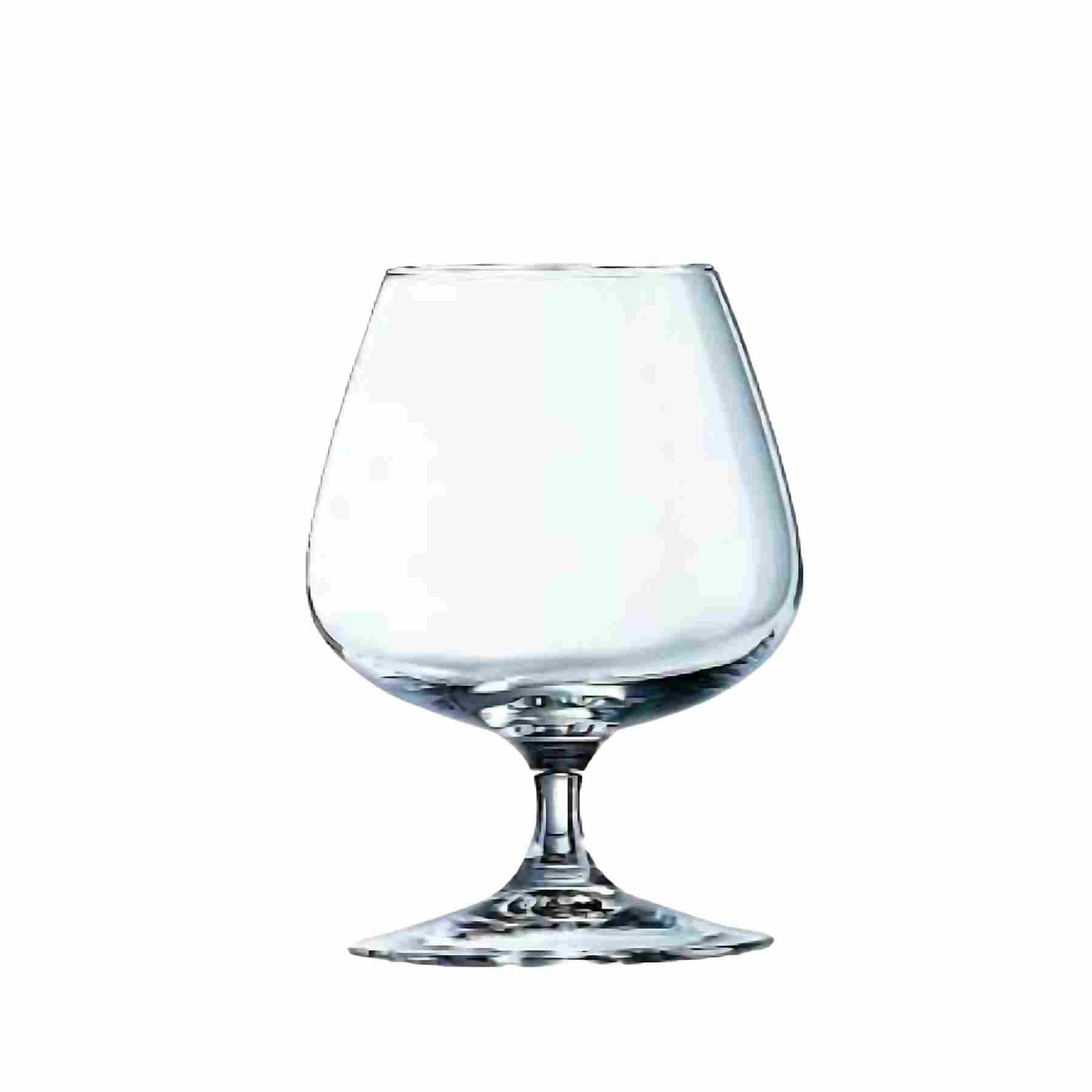 DEGUSTATION - VERRE A COGNAC 410 ML